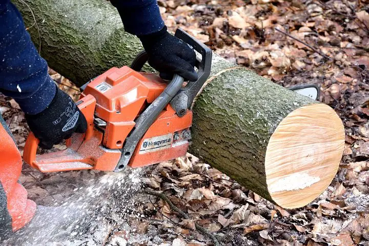 How to Buy a Cordless Chain Saw – Buyer’s Guide